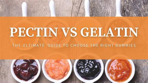 Choose the Right Gelatin